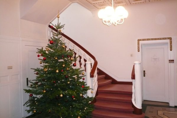 Treppe mit Weihnachtsbaum