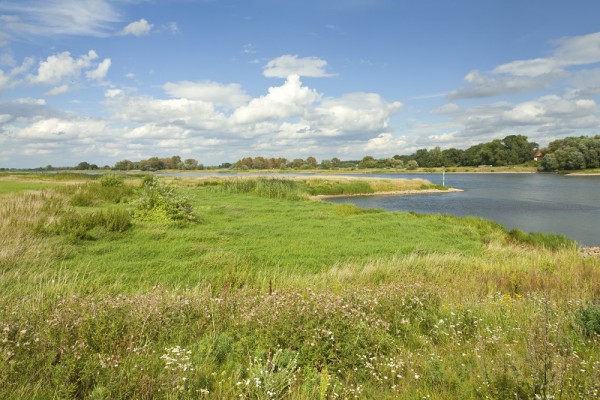 Waldschlösschenbrücke