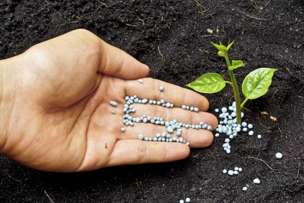 Umwelt- und Planungsrechtstag 2019