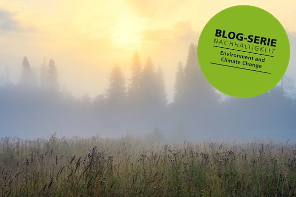 EU-Entwaldungsverordnung