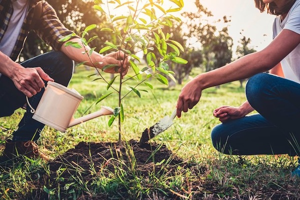 Pflanzenschutzmittel Verlängerung von Wirkstoffgenehmigungen